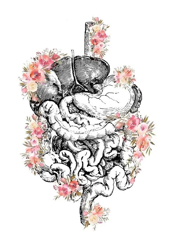 Abdomen je vir Življenja