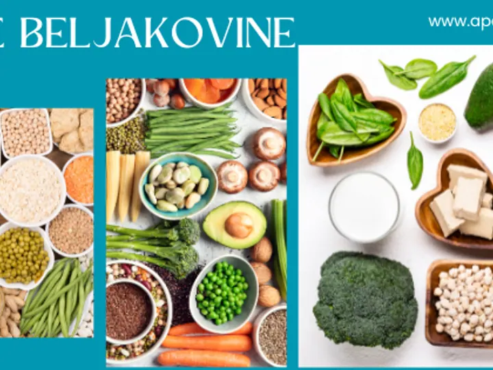 Beljakovine v tradicionalni kitajski medicini – razstrupljanje, ravnovesje in prehrana po TKM skozi letne čase